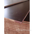 Brown Film Faced Plywood Preço